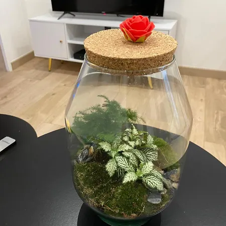 Daire Trog'love: Balneo Detente Dans Troglodyte Tours